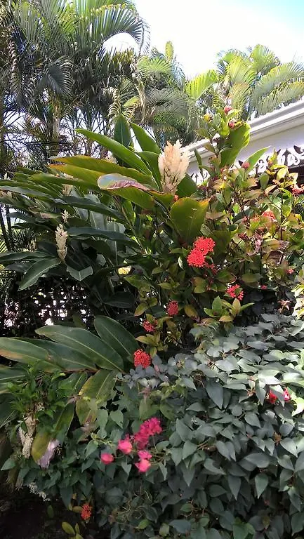 Villa Cap Martinique Sainte-Anne